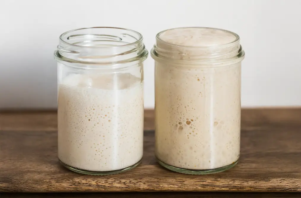 How to Know When Your Sourdough Starter Is Ready to Bake With | The